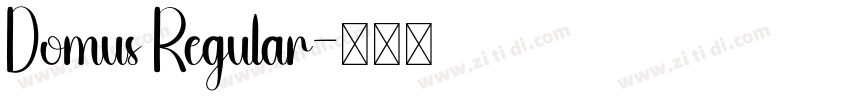 Domus Regular字体转换 Domus Regular字体转换